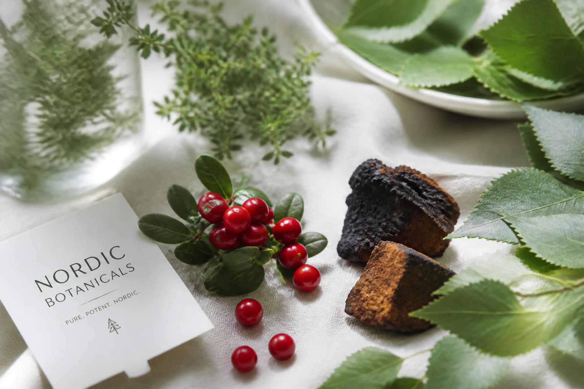 Fresh Nordic botanicals: birch leaves, lingonberries and chaga mushroom